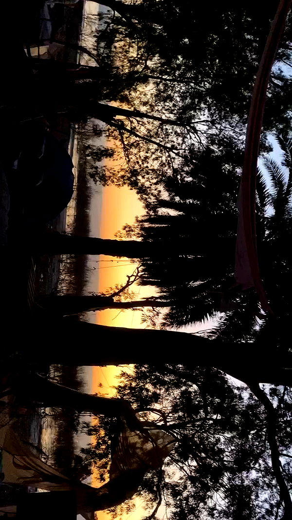 _.shelichka._ archive video preview