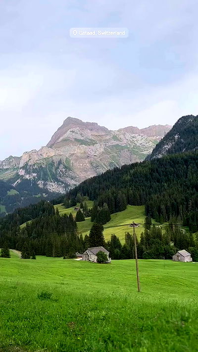 taylor.creeden taylor.creeden archive video