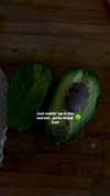 rott3nbambi Altpins Profile Picture