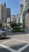 sonia_litvanchuk Altpins Profile Picture