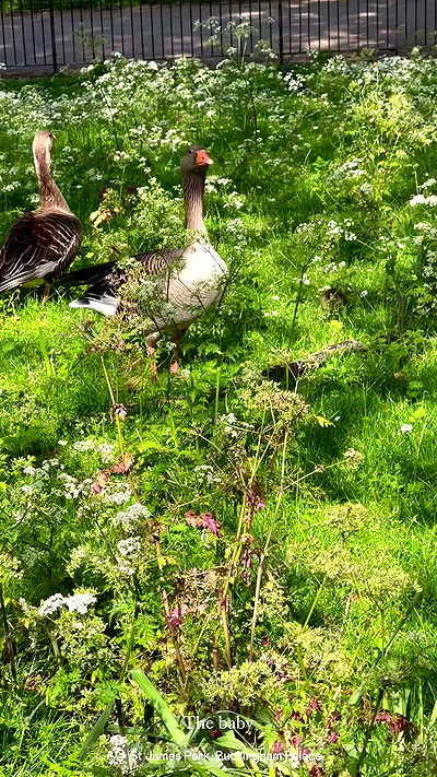 taylor.creeden taylor.creeden archive video