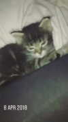 evasela__ Altpins Profile Picture