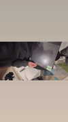 sonya00w Altpins Profile Picture