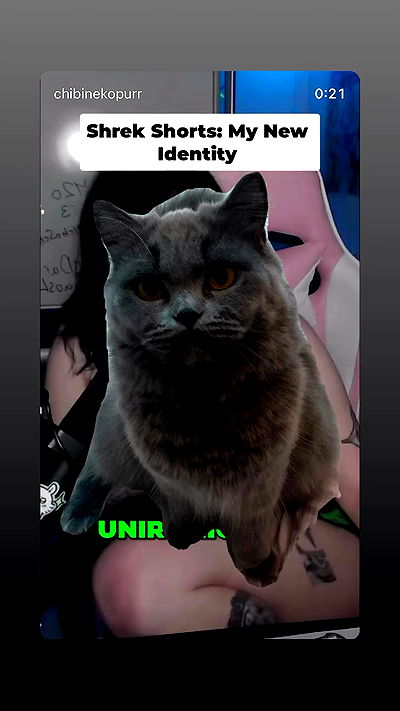 chibinekopurr chibinekopurr archive video