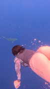 7lems7 Altpins Profile Picture