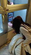 mellisachristiee Altpins Profile Picture