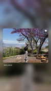 pol_cherie Altpins Profile Picture