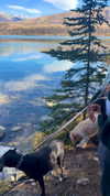 kimberlyy.lynnn Altpins Profile Picture
