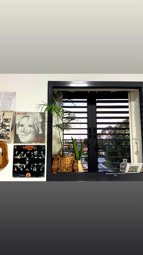 ___shachar archive video preview