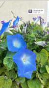 yaarat11 Altpins Profile Picture