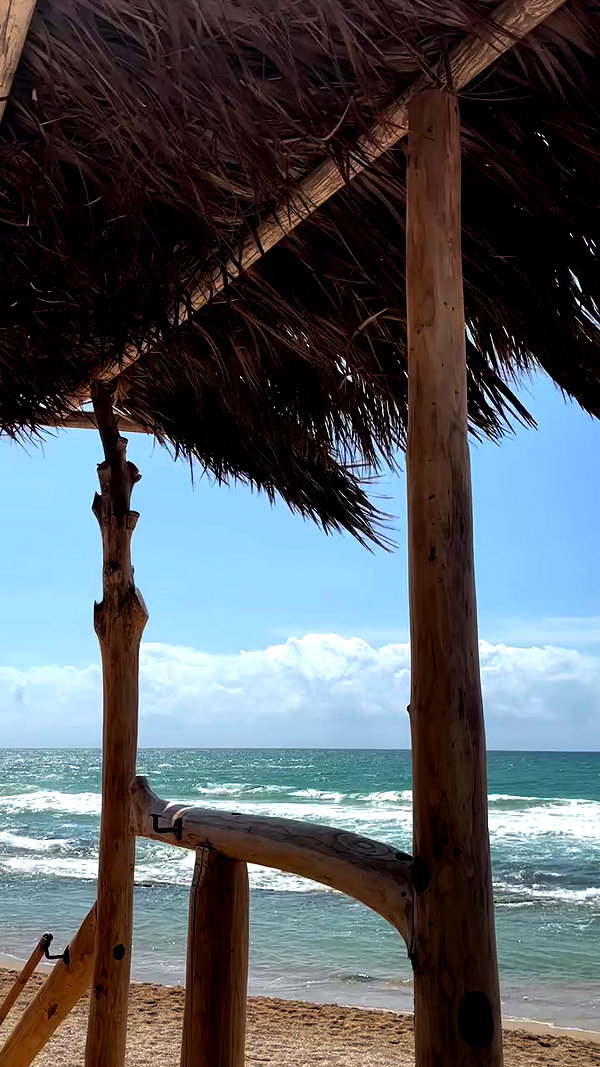 noa.danino_ archive video preview