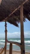 noa.danino_ Altpins Profile Picture