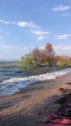 yaarat11 Altpins Profile Picture