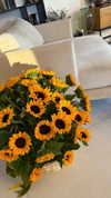 bulochka__777 Altpins Profile Picture