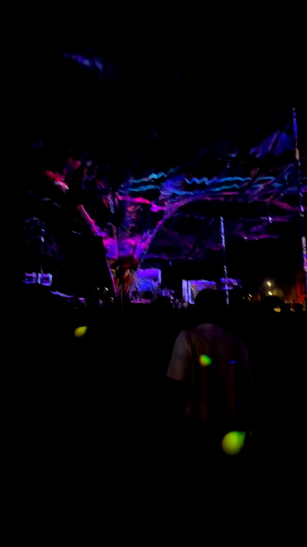 _.shelichka._ archive video preview