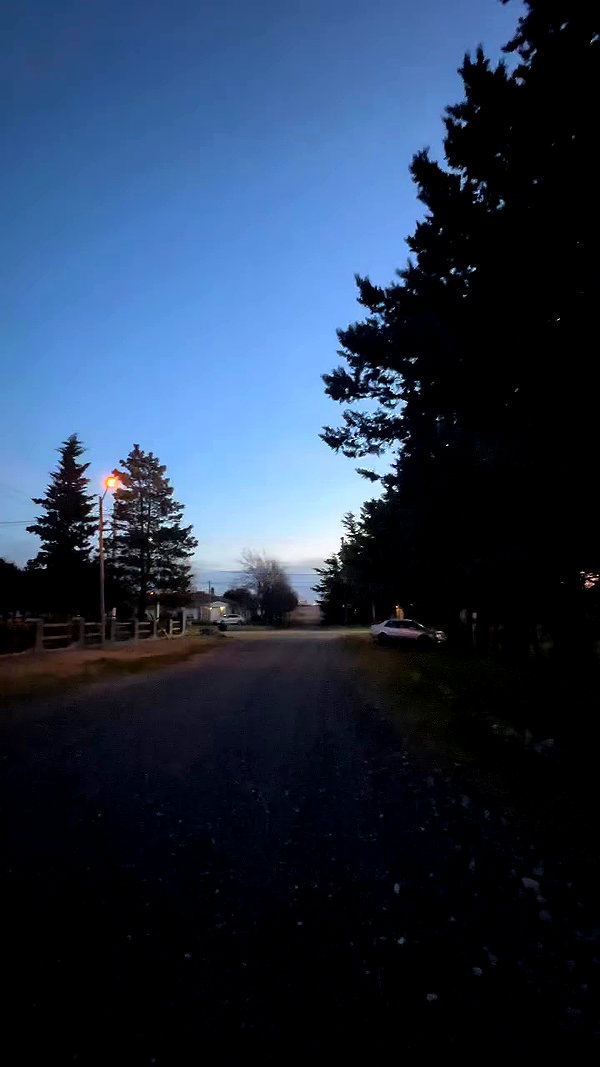 _aldibernardo archive video preview