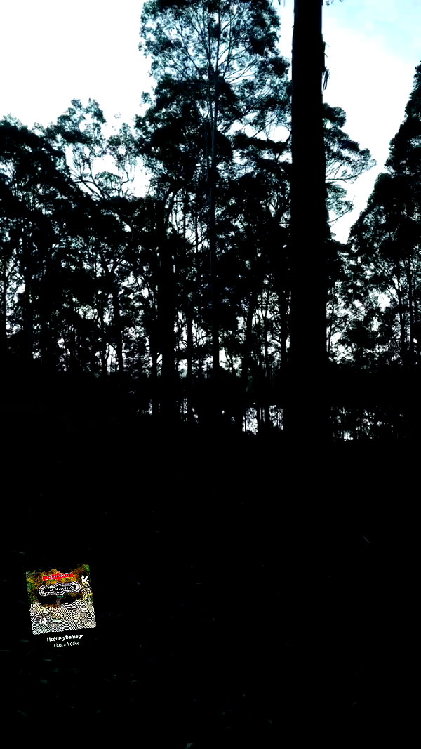 ayliehayward archive video preview