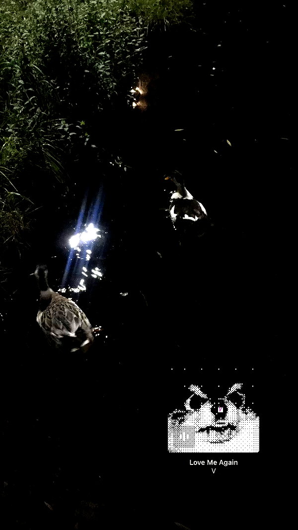 miumiustargirl archive video preview