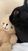 efrat_elmalich Altpins Profile Picture