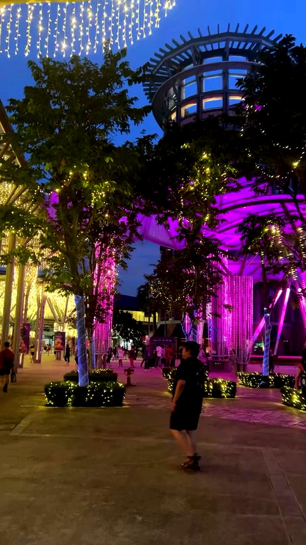 sapir_shemer archive video preview