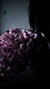 lavbackpack Altpins Profile Picture