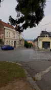 kristti.a Altpins Profile Picture