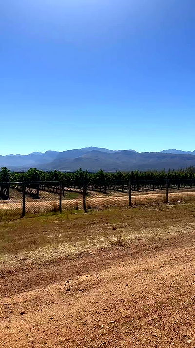 taylor.creeden taylor.creeden archive video