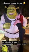 missbrisolo Altpins Profile Picture