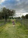 sonia_litvanchuk Altpins Profile Picture