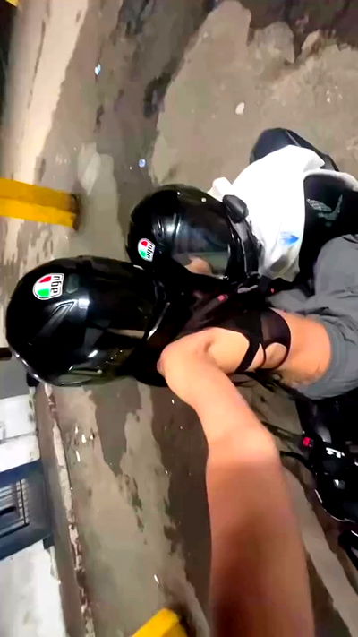 simp_for_cats_ simp_for_cats_ archive video