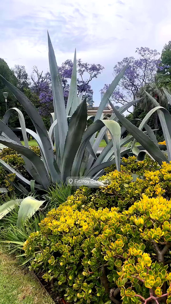 taylor.creeden archive video preview