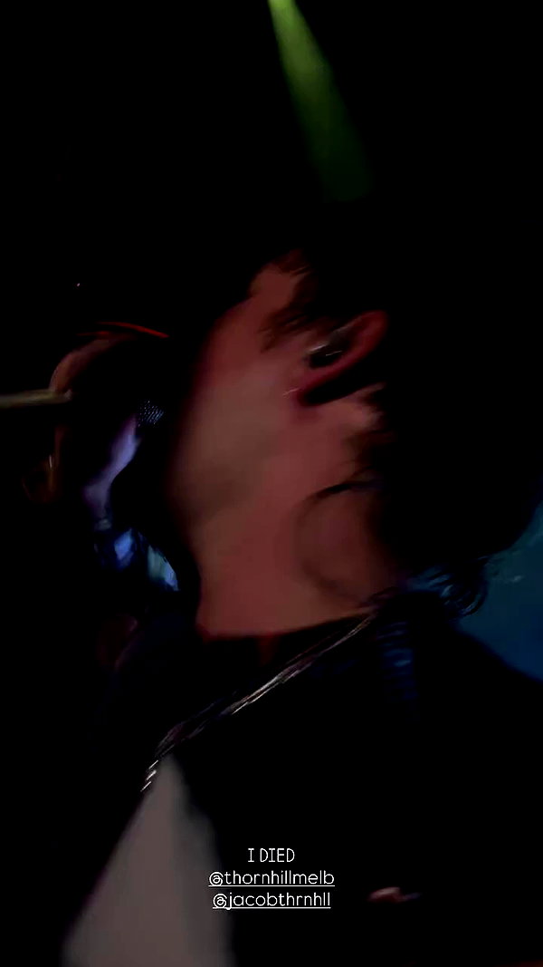 fungusfr0g archive video preview