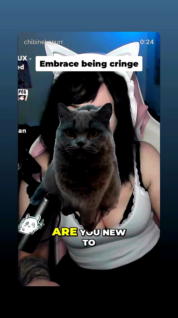 chibinekopurr archive video preview