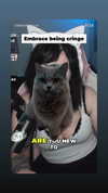 chibinekopurr Altpins Profile Picture