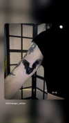 karerxxd Altpins Profile Picture