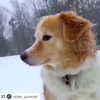 sychevskaya Altpins Profile Picture