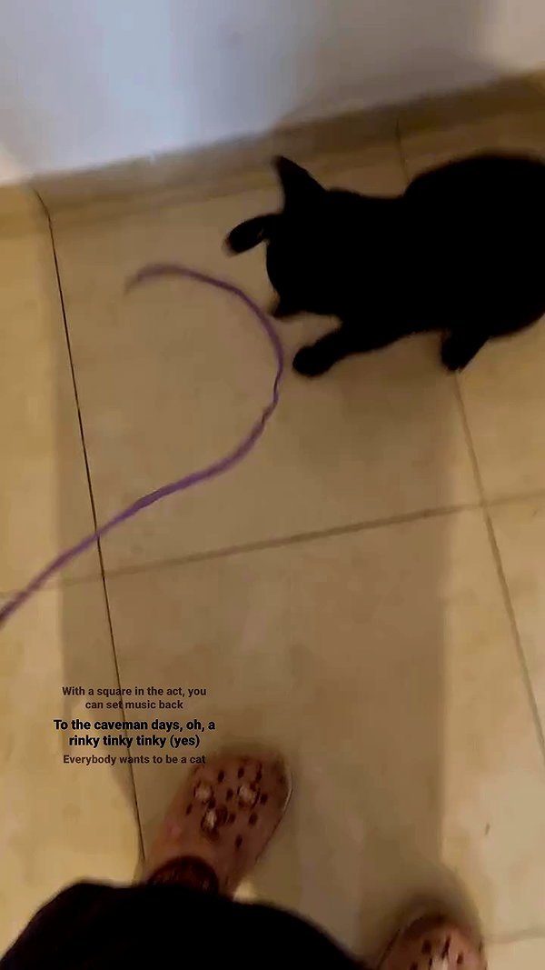 shayli_or archive video preview