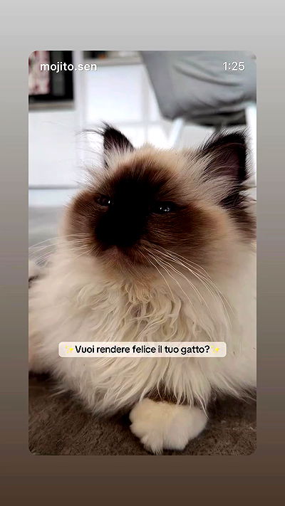 kasumi_sen kasumi_sen archive video