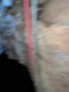 mishel_d_ Altpins Profile Picture