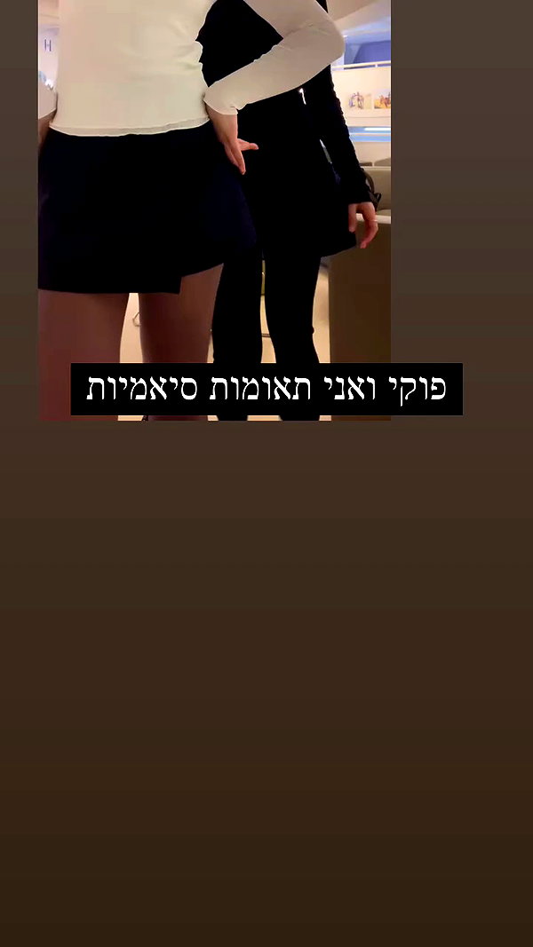 dante_yangpa archive video preview