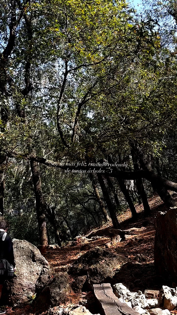 gissell_eli archive video preview