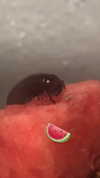 butter.on.a.poptart69 Altpins Profile Picture
