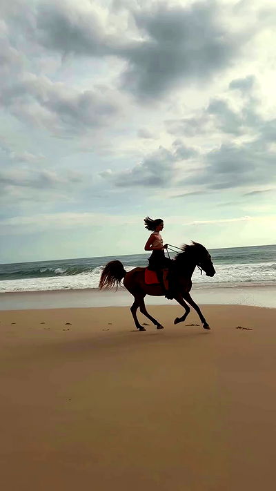 taylor.creeden taylor.creeden archive video