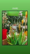 bensalma4 Altpins Profile Picture