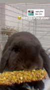 roniredner.nails Altpins Profile Picture