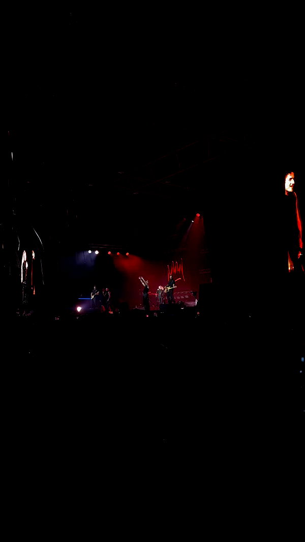 _allvi.pansk archive video preview
