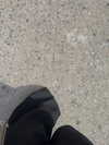 yifan.liii Altpins Profile Picture
