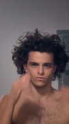 swholeanimal Altpins Profile Picture