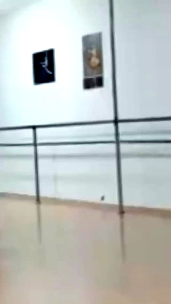 yuval_raz archive video preview