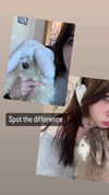 luvstuff3r Altpins Profile Picture